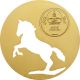 Mongolia 500 Togrog Mongolian Nature - Horse Gold Gilded 1/2 Oz Silver Coin Asia photo 1