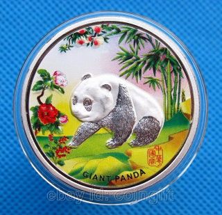 Refined China Giant Panda Colored Silver Coin 1 Oz photo