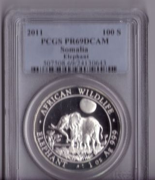Somalia 2011 Elephant 100 Shillings 1oz.  999 Silver Pcgs Pr69 Dcam photo