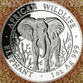 2004 Somalian African Wildlife Elephant 1 Oz Silver Bu Coin First Year Key Date photo