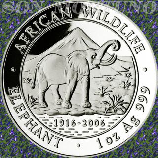 2006 Somalia African Wildlife Elephant 1 Troy Oz.  999 Silver Bu Coin In Capsule photo