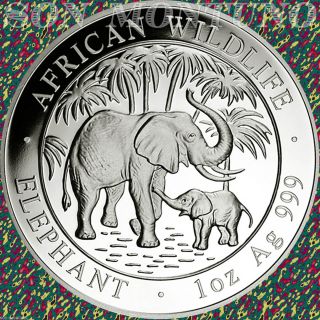 2007 Somalia African Wildlife Elephant 1 Troy Oz.  999 Silver Bu Coin In Capsule photo