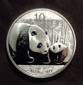 2011 China Silver Panda One Ounce Gem Brilliant Uncirculated Bu In Capsule photo