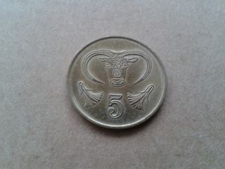 Greece Cyprus 5 Cents Coin 1998,  Turkey Kibris,  Bull ' S Head photo