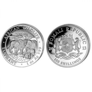 2013 Somalia 1 Oz Silver Elephant 100 Shillings.  999 Silver Coin In Capsule photo