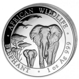2015 Somalia 1 Oz Silver Elephant 100 Shillings.  999 Silver Coin In Capsule photo
