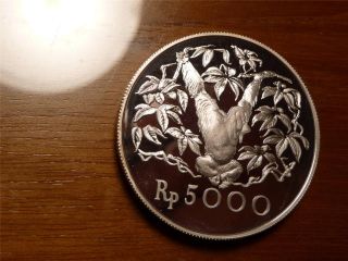 1974 Indonesia 5000 Rupee Orangatang Orangutang Proof,  Conservation photo