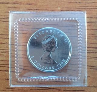 1988 1/10 Oz Canadian Platinum Maple Leaf photo