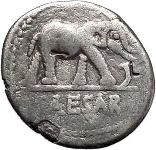 Julius Caesar Elephant Serpent 49bc Authentic Ancient Silver Roman Coin I47255 photo