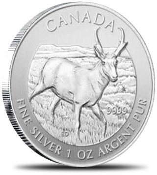 2013 Canada Wildlife Series Pronghorn Antelope 1 Oz.  9999 Silver Coin In Capsule photo