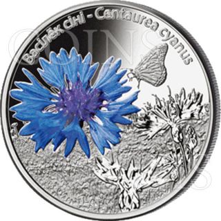 Belarus 2012 10 Ruble The Cornflower Belarusian Flowers Proof Silver Coin photo