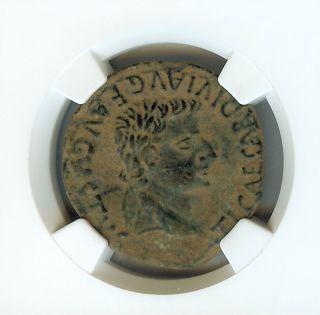 Tiberius 14 - 37 A.  D.  Ae28 - Rev.  Bull Standing - Ngc Xf (11.  64g) photo
