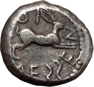 Messana In Sicily 480bc Tetradrachm Rare Silver Greek Coin Hare Chariot I40765 photo