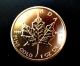 2012 Canadian Maple Leaf 1 Troy Ounce.  9999 Pure Gold $50 - Uncirculated Gold photo 1