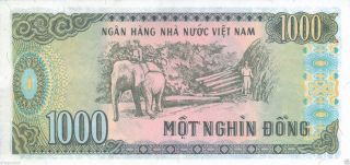 1x Vietnam 1000 Dong Vnd Crisp Uncirculated Elephant Banknote photo
