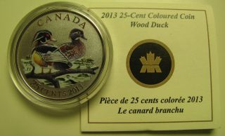 2013 Specimen 25c Ducks Of Canada 2 - Wood Duck Twenty - Five Quarter Coin&coa Only photo