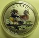 2013 Specimen 25c Ducks Of Canada 2 - Wood Duck Twenty - Five Quarter Coin&coa Only Coins: Canada photo 1