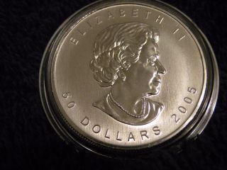 2005 Canada $50 1 Oz Palladium Maple Leaf Coin In Airtite,  Inaugural Year photo