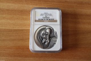 Ngc Pf68 Matte China 2014 80 Grams Silver Medal - Lunar Year Of The Horse photo