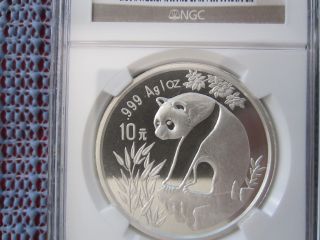 1993 China Chinese 10 Yuan 1oz Small Date Silver Panda Ncs / Ngc Ms67 photo