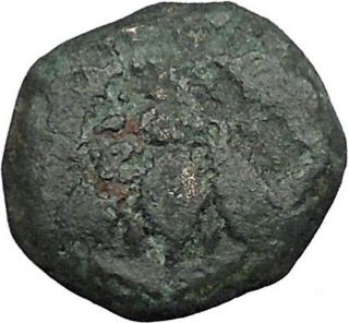 Ephesus In Ionia 350bc Authentic Ancient Greek Coin Bee Stag I50138 photo