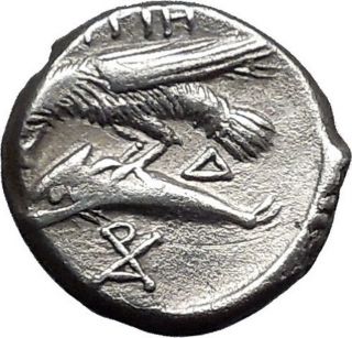 Istros In Thrace Gemini Dioscuri 400bc Ancient Silver Greek Coin Eagle I50060 photo