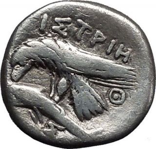 Istros In Thrace Gemini Dioscuri 400bc Ancient Silver Greek Coin Eagle I50063 photo