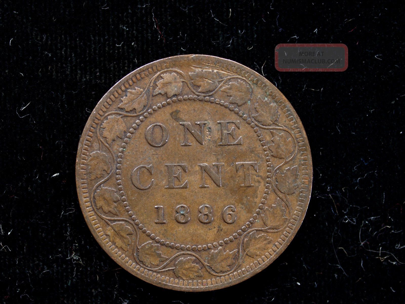 Canada Large Cent 1886 Circulated Coins: Canada photo