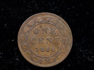 Canada Large Cent 1886 Circulated photo