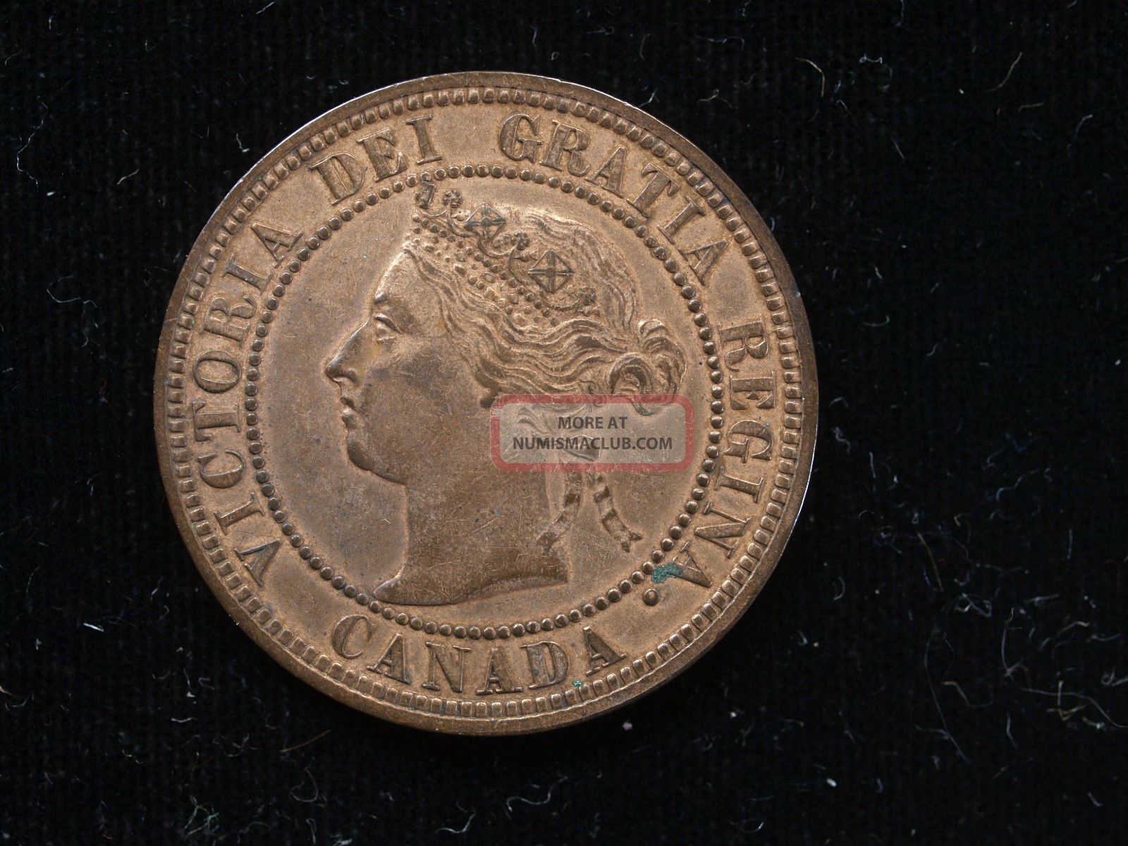 Canada Large Cent 1882 H Circulated canada-large-cent-1882-h-circulated