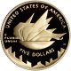 2002 - W Us Gold $5 Salt Lake City Winter Olympic Commemorative Proof Gold photo 2