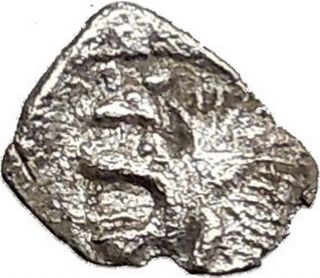 Cyzikus 480bc Boar Tuny Fish Lion Authentic Ancient Silver Greek Coin I32711 photo