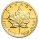 1991 Royal Canadian 1/10 Oz $5 Gold Maple Leaf.  9999 Fine Ms Gold photo 1