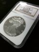 1996 P $1 American Silver Eagle Proof Ngc Pf 70 Ultra Cameo - Perfect Grade 020 Silver photo 1
