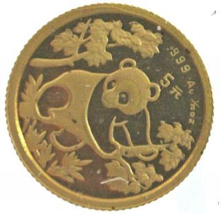 1992 China 5 Yuan 1/20th Oz Gold Panda photo