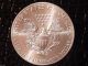 2014 1 Oz American Silver Eagle Bu.  999 Fine Silver Bullion Coin Id Se12 Silver photo 1
