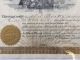 1898 Whalin Tunnel & Gold Mining Company Stock Certificate Pueblo Colorado Stocks & Bonds, Scripophily photo 2