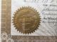 1898 Whalin Tunnel & Gold Mining Company Stock Certificate Pueblo Colorado Stocks & Bonds, Scripophily photo 4