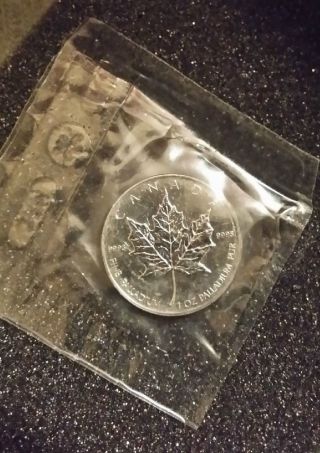 Pristine - (must Read) - 2007 Canada Palladium Maple Leaf 1 Ozt.  9995 Fine photo