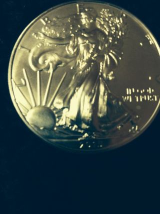 1 2015 American Silver Eagle 1 Oz.  Dollar photo