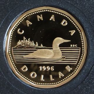 1996 Canada Loonie Dollar - Frosted Proof photo