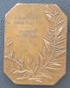 Bronze Art - Nouveau Art Exposition Award Medal,  Painting Exonumia photo 1