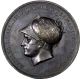 France Napoleon Bronze Capture Of Vienna Medal 1805 42mm By Manfredini,  Bram - 444 Exonumia photo 1