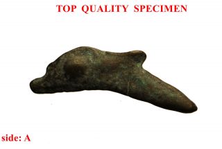 33: Black Sea :olbia,  Sarmaia - Cast Bronze Dolphin Money : 5th - 4th Cent Bc photo