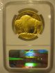 2014 W $50 American Gold Buffalo 1 Oz Ngc Pf70 Ucam Early Release W/ Ogp Gold photo 1
