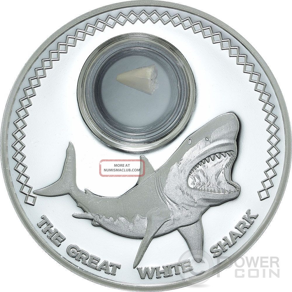 Shark Tooth Fossilized Great White Shark 1 Oz Silver Coin 5$ Tokelau 2014 Australia & Oceania photo