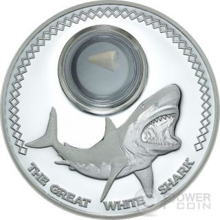 Shark Tooth Fossilized Great White Shark 1 Oz Silver Coin 5$ Tokelau 2014 photo