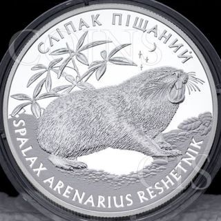 Ukraine 2005 10 Uah Spalax Arenarius Reshetnik Flora And Fauna Proof Silver Coin photo