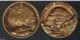 Capitol Reef National Park Medal Solid Bronze Hight Relief Medallic Art Exonumia photo 1