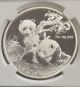 2013 Money Fair Panda Silver Coin Medal Berlin Ngc Pf70 Ultra Cameo 1oz.  999 China photo 1